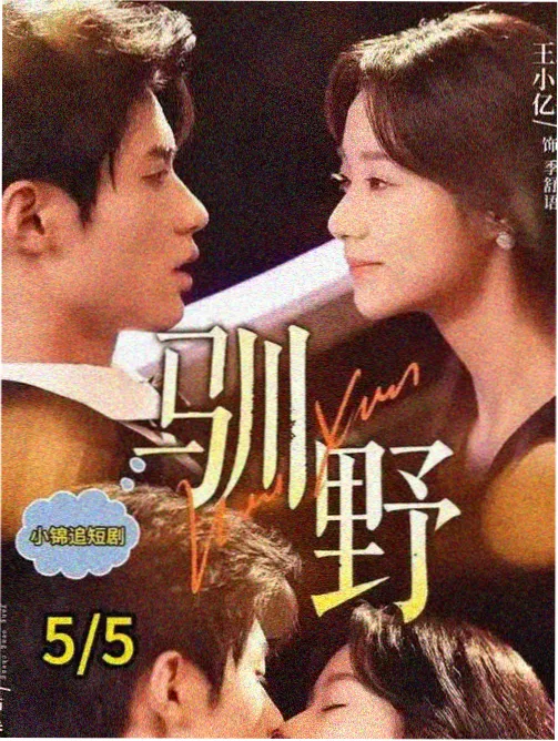 都市爱情电视剧